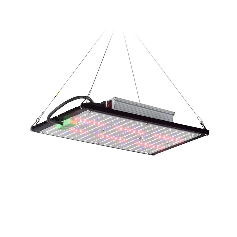 Lampada LED Quantum-Board per  - Grow Light Led recensione e prezzo