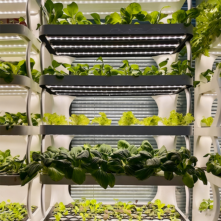 Fioriera intelligente per giar - Grow Light Led recensione e prezzo